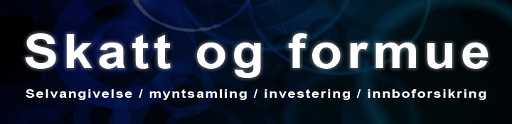 Formue-skatt-toppbanner